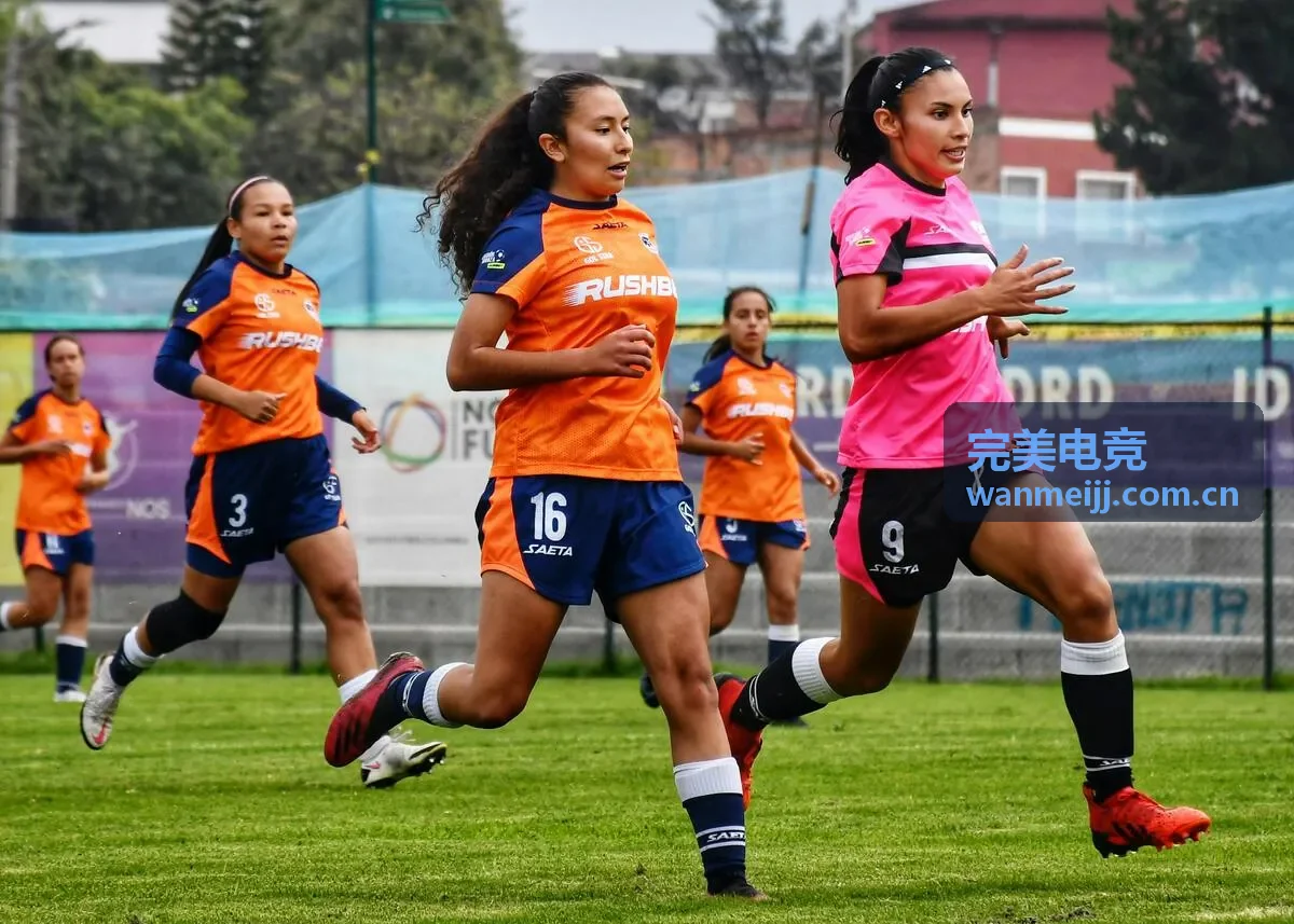 完美电竞 LPL春季赛总决赛深度复盘